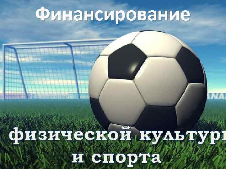 Финансирование физической культуры и спорта 