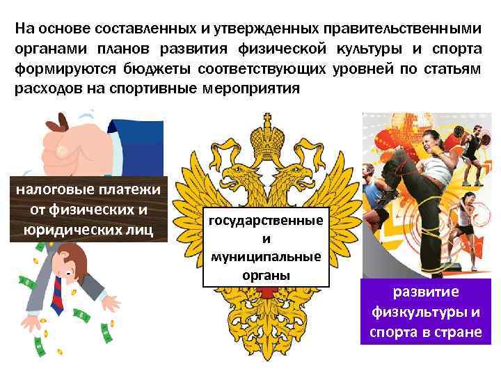 На основе составленных и утвержденных правительственными органами планов развития физической культуры и спорта формируются