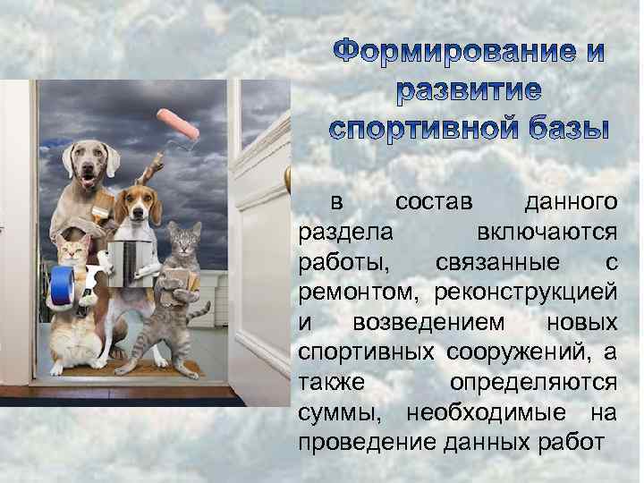 в состав данного раздела включаются работы, связанные с ремонтом, реконструкцией и возведением новых спортивных