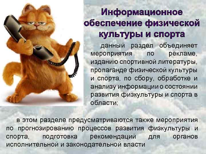 данный раздел объединяет мероприятия по рекламе, изданию спортивной литературы, пропаганде физической культуры и спорта,