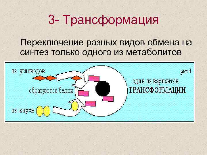 3 - Трансформация Переключение разных видов обмена на синтез только одного из метаболитов 