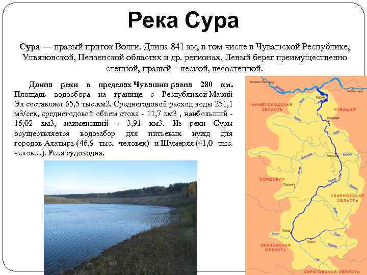 Река Сура — правый приток Волги. Длина 841 км, в том числе в Чувашской