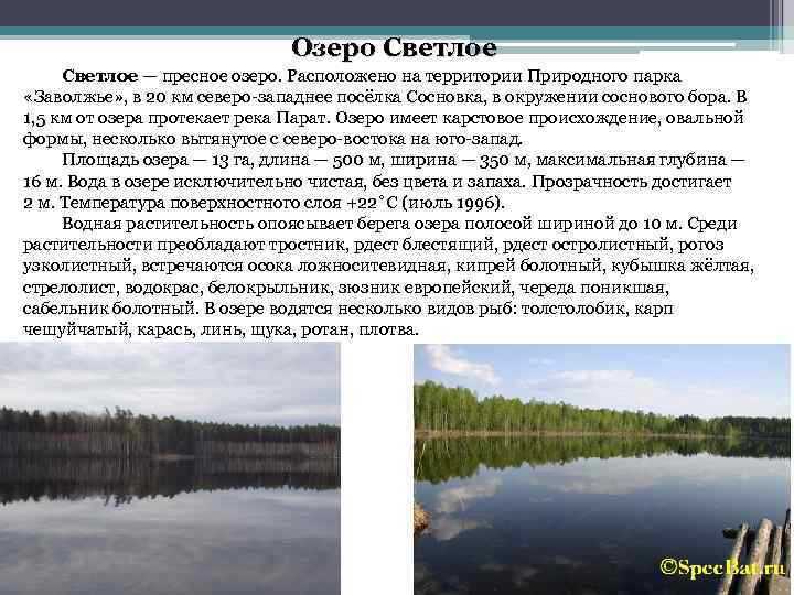 Озеро Светлое — пресное озеро. Расположено на территории Природного парка «Заволжье» , в 20