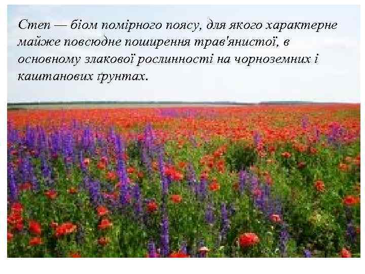 Степ — біом помірного поясу, для якого характерне майже повсюдне. Захід сонця поширення трав'янистої,