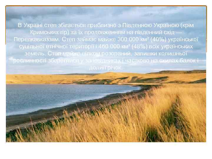 В Україні степ збігається приблизно з Південною Україною (крім Кримських гір) та їх продовженням