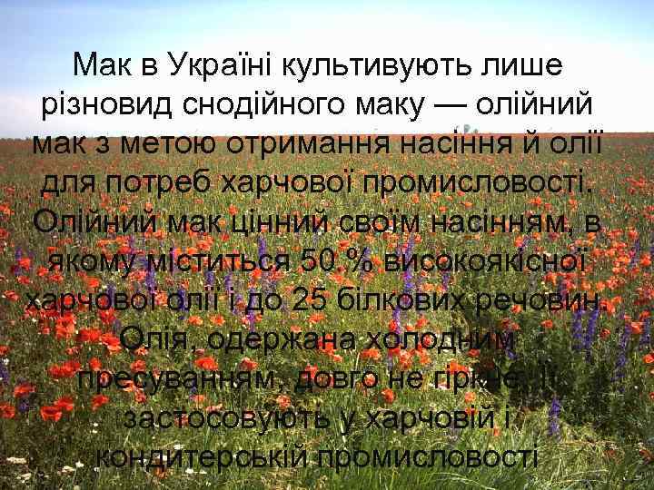 Мак в Україні культивують лише різновид снодійного маку — олійний мак з метою отримання