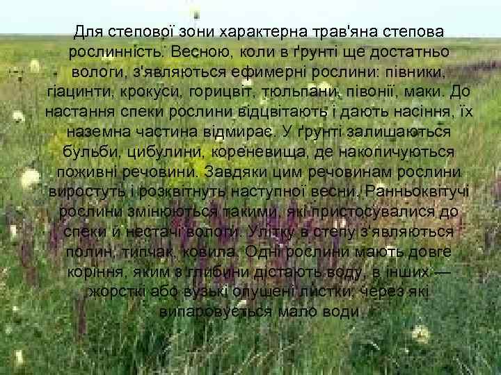 Для степової зони характерна трав'яна степова рослинність. Весною, коли в ґрунті ще достатньо вологи,