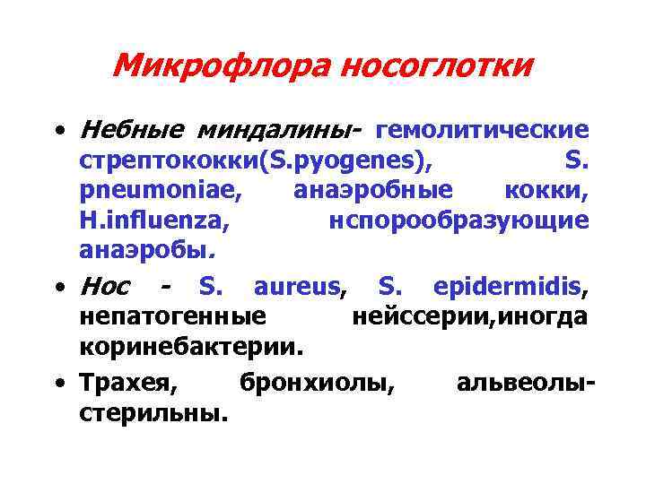 Микрофлора носоглотки • Небные миндалины- гемолитические стрептококки(S. pyogenes), S. pneumoniae, анаэробные кокки, H. influenza,