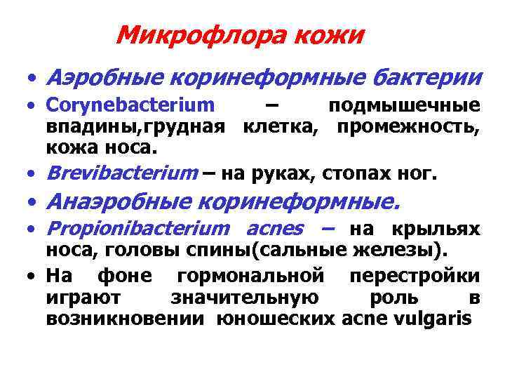 Микрофлора кожи • Аэробные коринеформные бактерии • Corynebacterium – подмышечные впадины, грудная клетка, промежность,