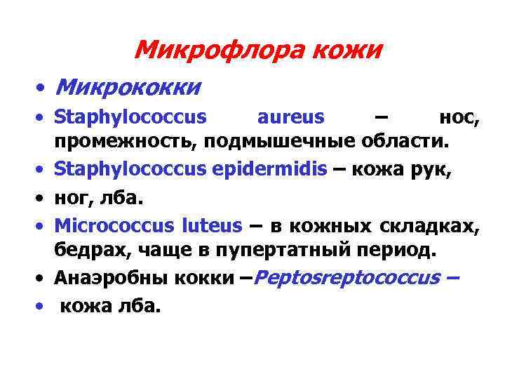 Микрофлора кожи • Микрококки • Staphylococcus aureus – нос, промежность, подмышечные области. • Staphylococcus