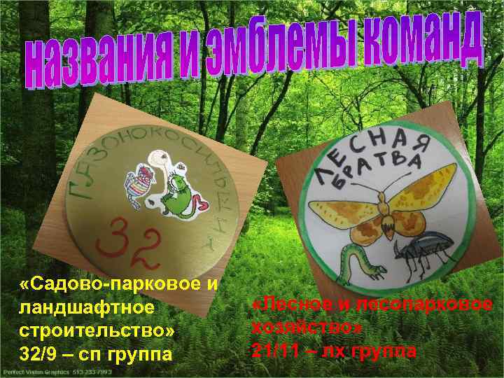  «Садово-парковое и ландшафтное строительство» 32/9 – сп группа «Лесное и лесопарковое хозяйство» 21/11