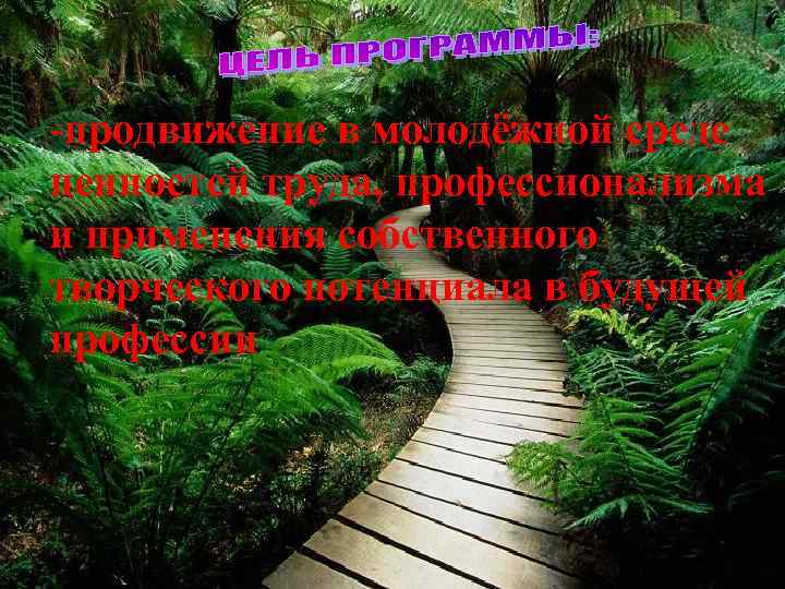 -продвижение в молодёжной среде ценностей труда, профессионализма и применения собственного творческого потенциала в будущей