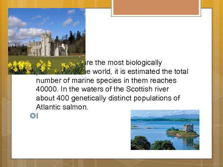  Sea Scotland are the most biologically productive in the world, it is estimated