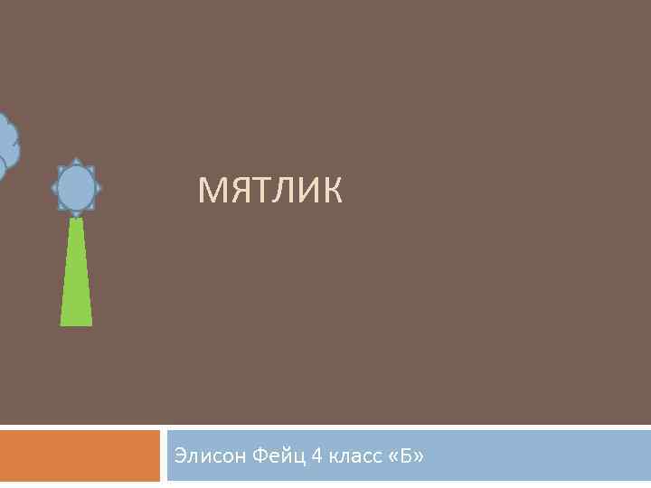 МЯТЛИК Элисон Фейц 4 класс «Б» 