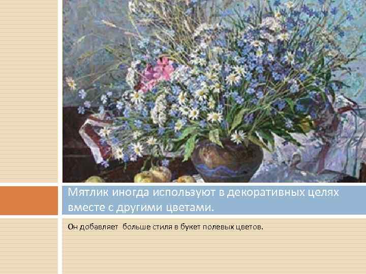 Мятлик иногда используют в декоративных целях вместе с другими цветами. Он добавляет больше стиля