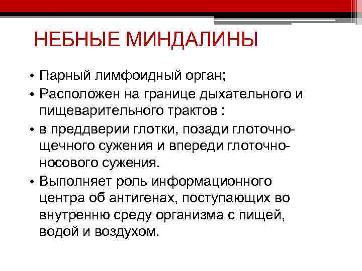 НЕБНЫЕ МИНДАЛИНЫ • Парный лимфоидный орган; • Расположен на границе дыхательного и пищеварительного трактов
