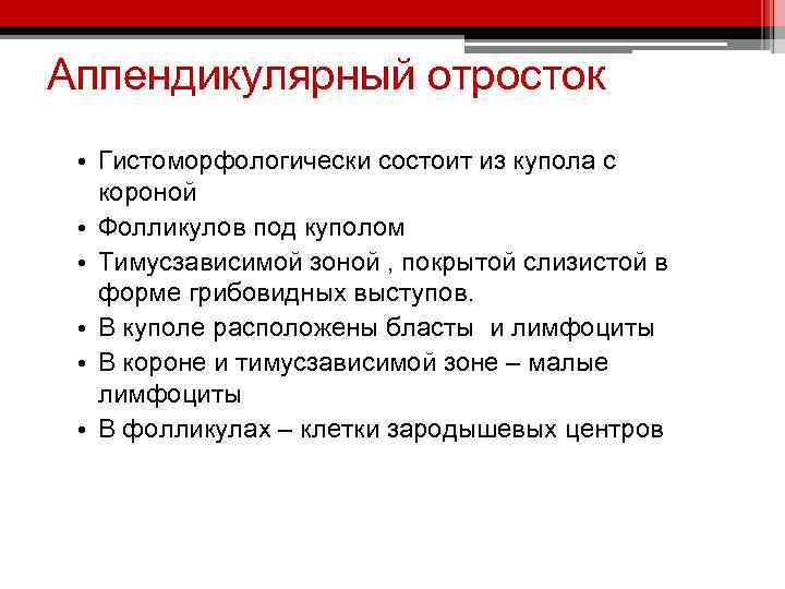 Аппендикулярный отросток • Гистоморфологически состоит из купола с короной • Фолликулов под куполом •