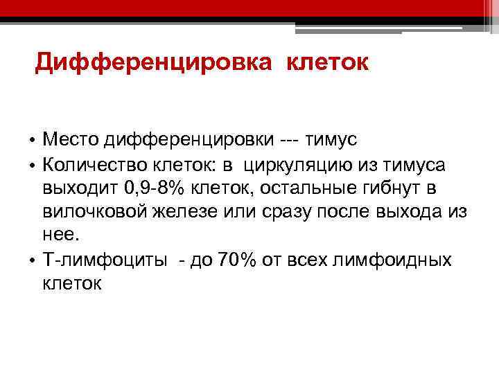 Дифференцировка клеток • Место дифференцировки --- тимус • Количество клеток: в циркуляцию из тимуса