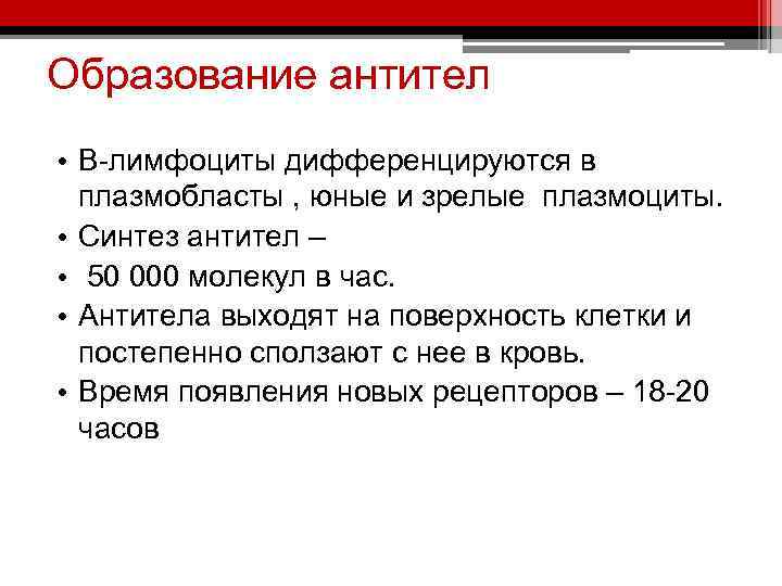 Образование антител • В-лимфоциты дифференцируются в плазмобласты , юные и зрелые плазмоциты. • Синтез