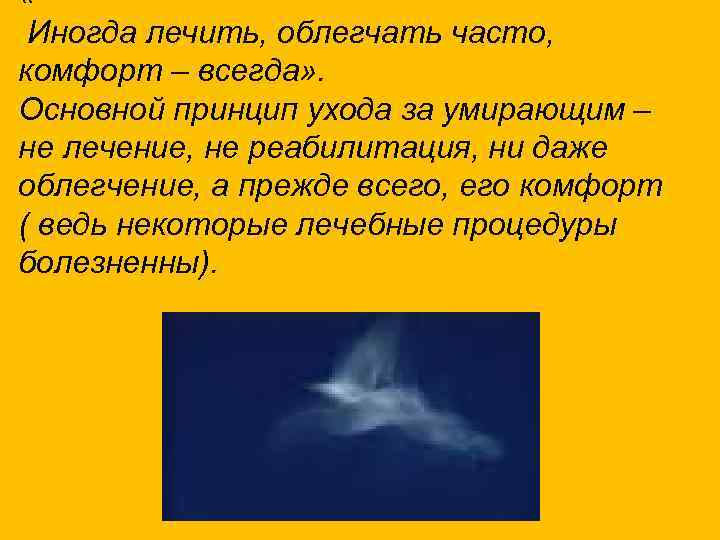  « Иногда лечить, облегчать часто, комфорт – всегда» . Основной принцип ухода за