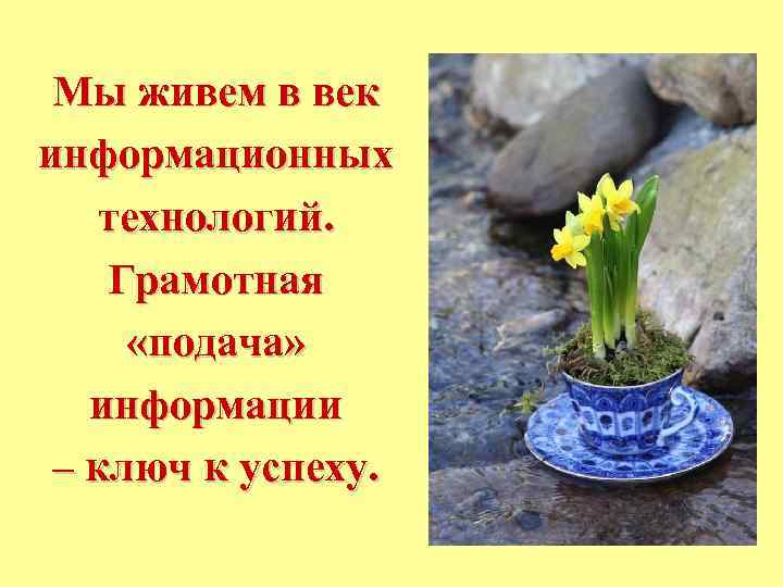 Мы живем в век информационных технологий. Грамотная «подача» информации – ключ к успеху. 