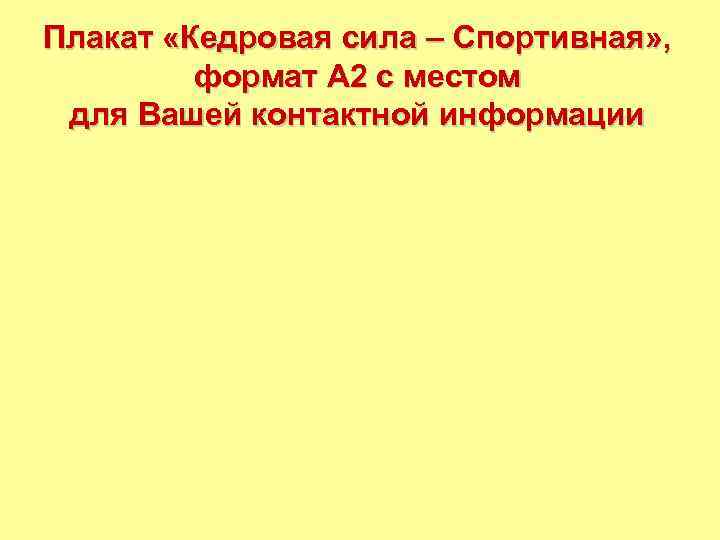 Плакат «Кедровая сила – Спортивная» , формат А 2 с местом для Вашей контактной