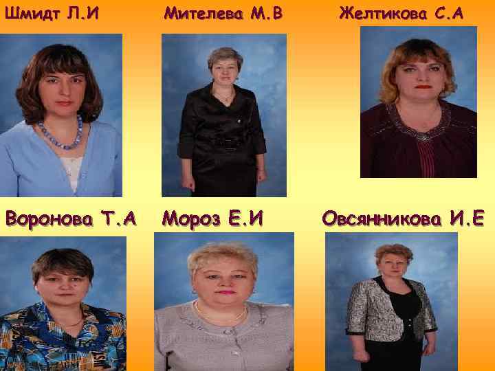 Шмидт Л. И Мителева М. В Воронова Т. А Мороз Е. И Желтикова С.