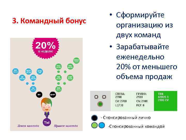 3. Командный бонус • Сформируйте организацию из двух команд • Зарабатывайте еженедельно 20% от