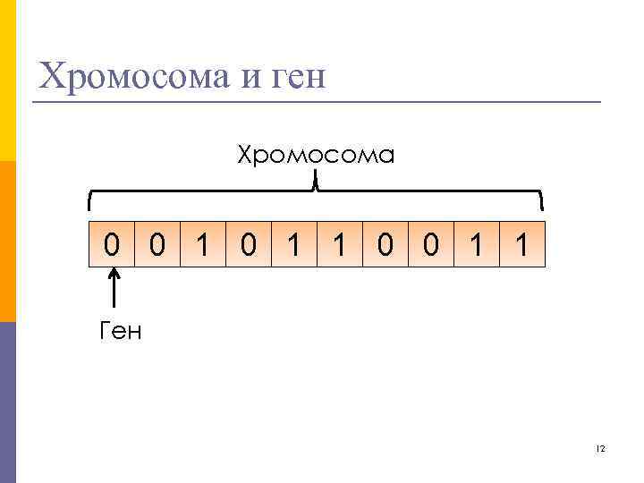 Хромосома и ген Хромосома 0 0 1 1 Ген 12 