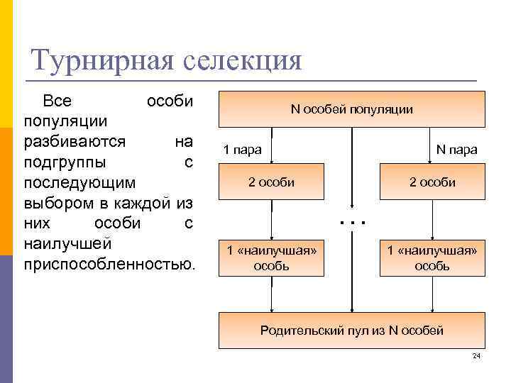 Турнирная селекция Все особи популяции разбиваются на подгруппы с последующим выбором в каждой из