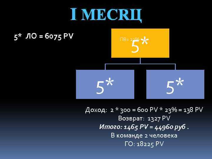 Ⅰ МЕСЯЦ 5* ЛО = 6075 PV 5* ПВ= 23% 5* 5* Доход: 2