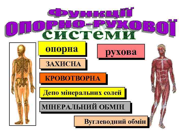 Опорно аналитический план