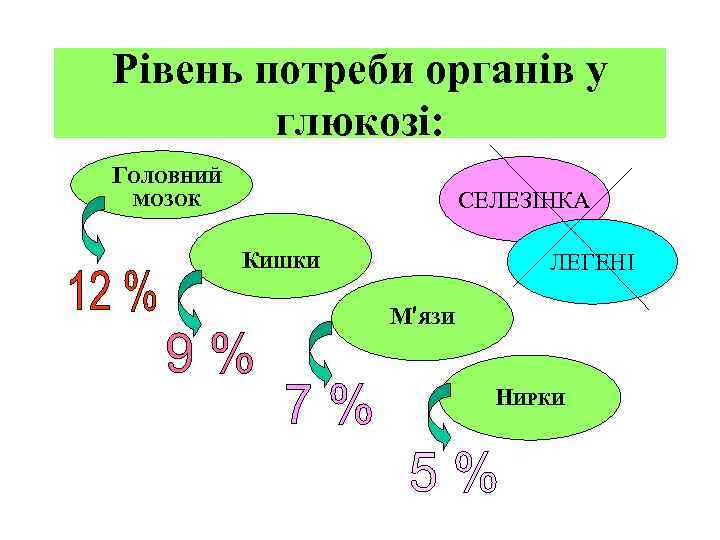 Рівень потреби органів у глюкозі: ГОЛОВНИЙ СЕЛЕЗІНКА МОЗОК КИШКИ ЛЕГЕНІ М′ЯЗИ НИРКИ 