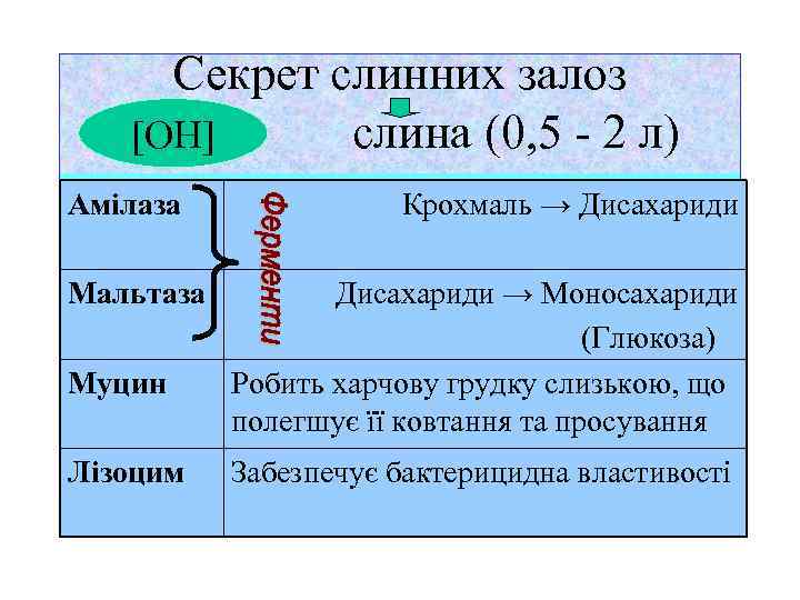 Секрет слинних залоз слина (0, 5 - 2 л) [ОН] Амілаза Мальтаза Муцин Лізоцим