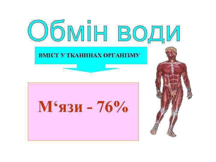 ВМІСТ У ТКАНИНАХ ОРГАНІЗМУ М‘язи - 76% 