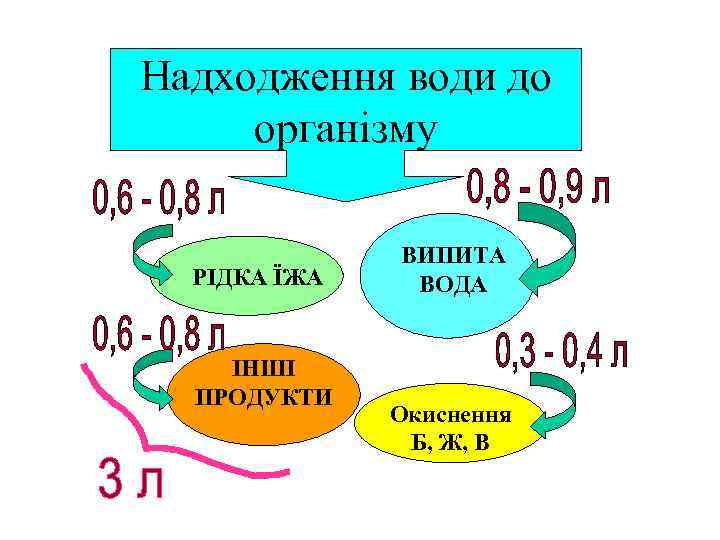 Надходження води до організму РІДКА ЇЖА ІНШІ ПРОДУКТИ ВИПИТА ВОДА Окиснення Б, Ж, В