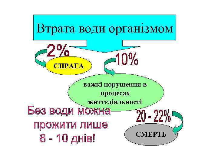 Втрата води організмом СПРАГА важкі порушення в процесах життєдіяльності СМЕРТЬ 