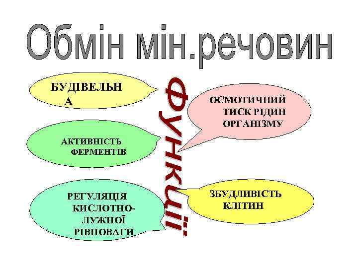 БУДІВЕЛЬН А ОСМОТИЧНИЙ ТИСК РІДИН ОРГАНІЗМУ АКТИВНІСТЬ ФЕРМЕНТІВ РЕГУЛЯЦІЯ КИСЛОТНОЛУЖНОЇ РІВНОВАГИ ЗБУДЛИВІСТЬ КЛІТИН 