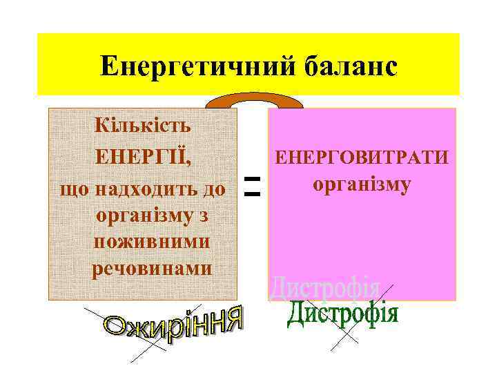 Енергетичний баланс Кількість ЕНЕРГІЇ, що надходить до організму з поживними речовинами ЕНЕРГОВИТРАТИ організму 