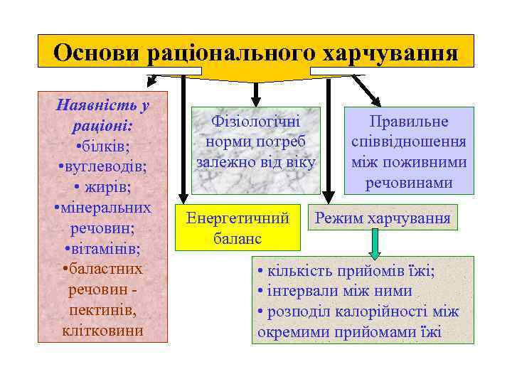 Основи раціонального харчування Наявність у раціоні: • білків; • вуглеводів; • жирів; • мінеральних