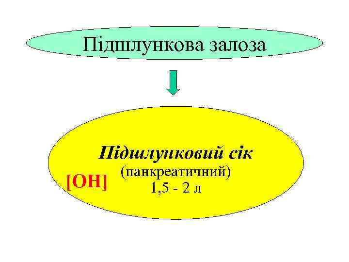 Підшлункова залоза Підшлунковий сік (панкреатичний) [ОН] 1, 5 - 2 л 