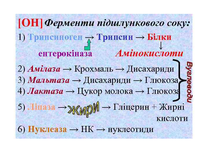 [ОН] Ферменти підшлункового соку: 1) Трипсиноген → Трипсин → Білки ↓ ентерокіназа Амінокислоти 2)