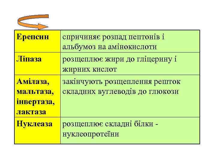 Ерепсин Ліпаза спричиняє розпад пептонів і альбумоз на амінокислоти розщеплює жири до гліцерину і