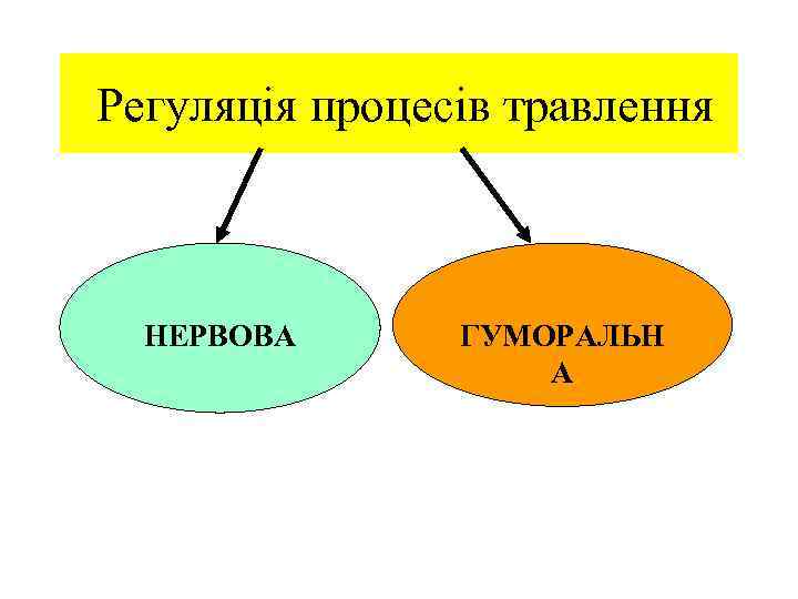  Регуляція процесів травлення НЕРВОВА ГУМОРАЛЬН А 