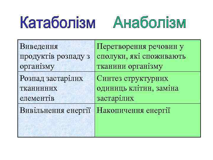 Виведення продуктів розпаду з організму Розпад застарілих тканинних елементів Вивільнення енергії Перетворення речовин у