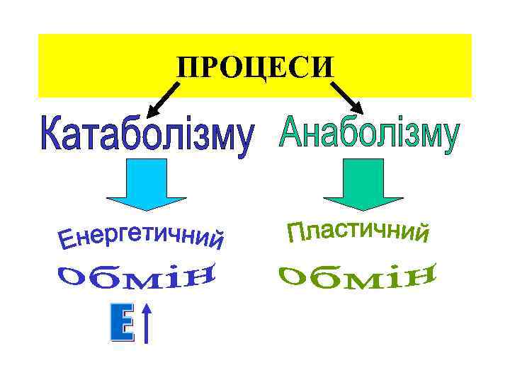 ПРОЦЕСИ 