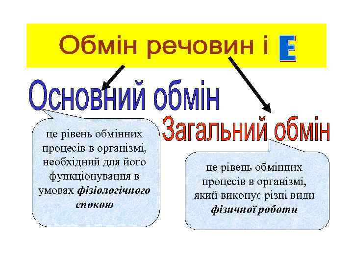 це рівень обмінних процесів в організмі, необхідний для його функціонування в умовах фізіологічного спокою