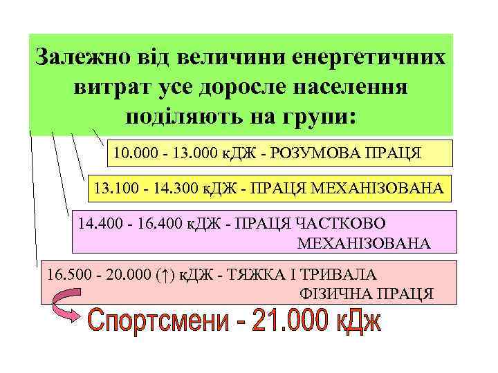 Залежно від величини енергетичних витрат усе доросле населення поділяють на групи: 10. 000 -