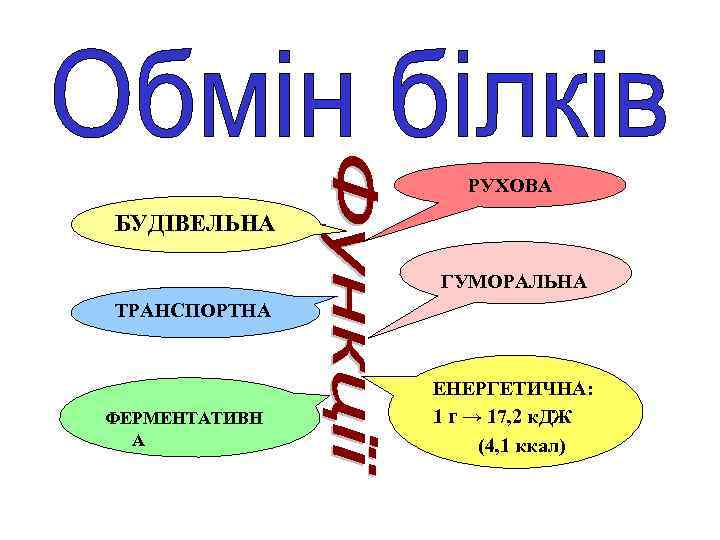 РУХОВА БУДІВЕЛЬНА ГУМОРАЛЬНА ТРАНСПОРТНА ФЕРМЕНТАТИВН А ЕНЕРГЕТИЧНА: 1 г → 17, 2 к. ДЖ