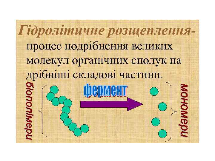 Гідролітичне розщепленняпроцес подрібнення великих молекул органічних сполук на дрібніші складові частини. 